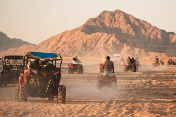 Private Family buggy safari