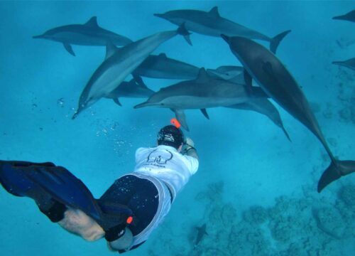 Marsa Alam