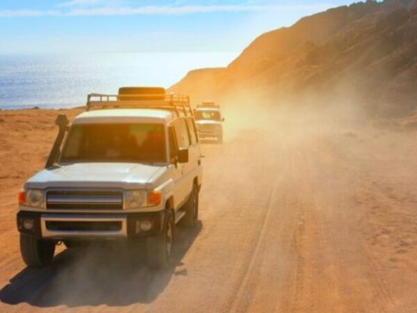 Private Sunset Safari