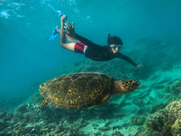 Abu Dabbab Turtle Beach group