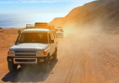 Private Sunset Safari