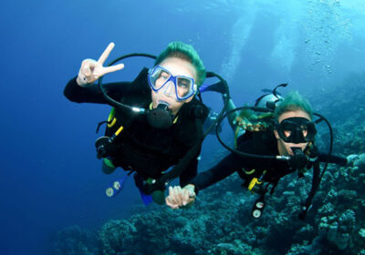 Orange Bay Island & diving