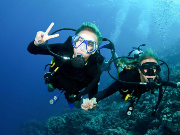 Orange Bay Island & diving