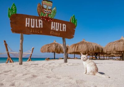 Hula Hula Island Normal