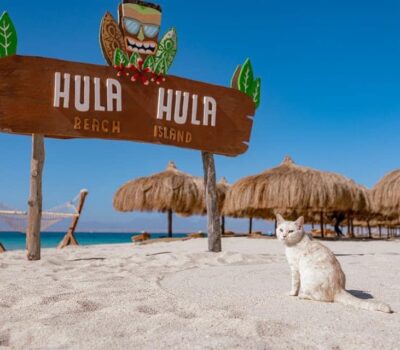 Hula Hula Island Normal