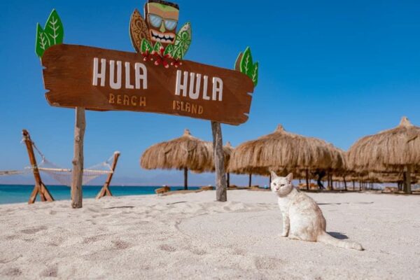 Hula Hula Island Normal
