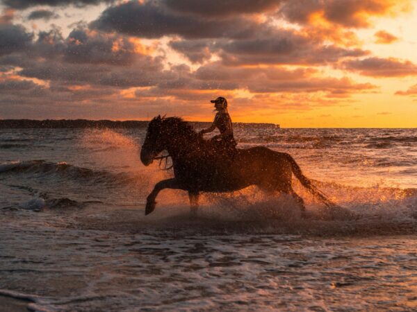 Horse riding with beach & Swimming